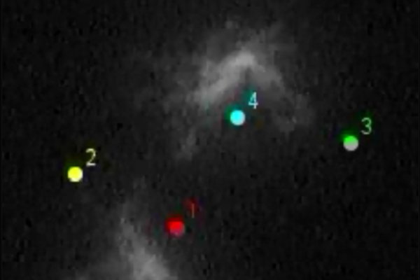 Motion of <i>E. coli</i> flagellar filaments in thin films and of the surrounding fluid